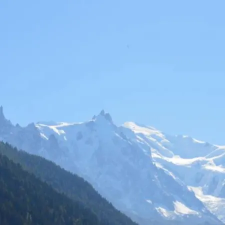 아파트 Apartment Near The Slopes Chamonix-Mont-Blanc *